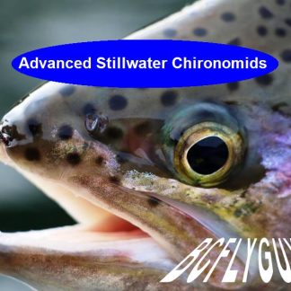 Advanced Stillwater Chironomid Fly Fishing - PDF eSeminar