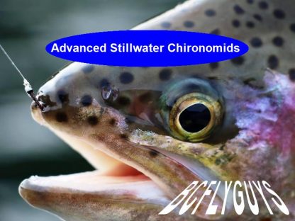 Advanced Stillwater Chironomid Fly Fishing - PDF eSeminar