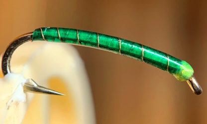 Chameleon Green Window Tint Cape Chironomid Larva