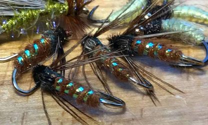 Kamloops Caddis Pupa Sedge Hot Spot Flies