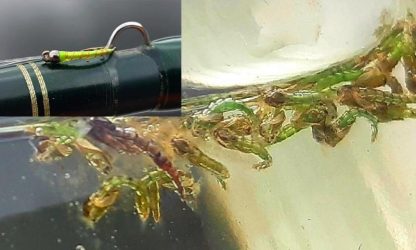 Little Limey Chironomid Pupa Fly - Image 2