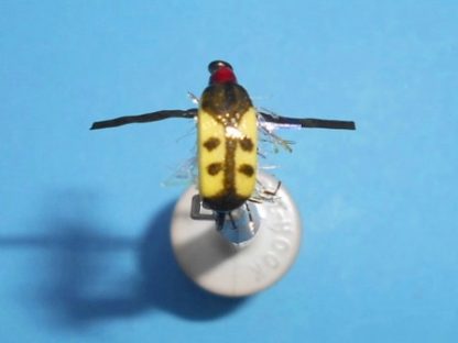 Floater Boater Floating Water Boatman Fly Pattern - Top