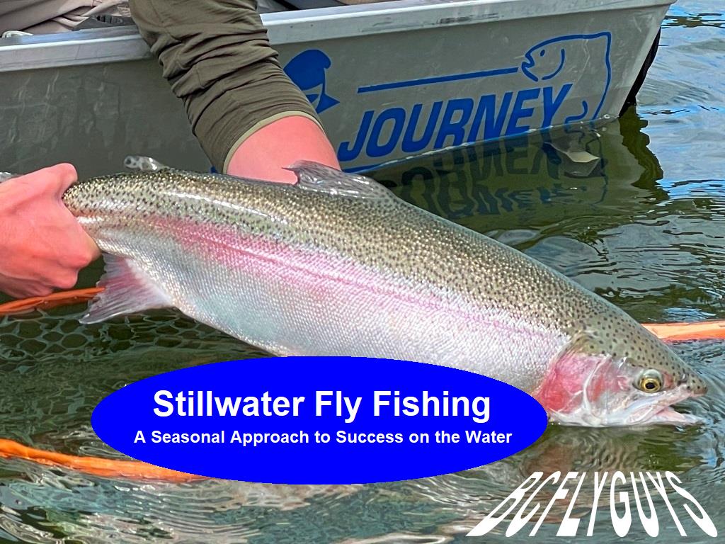 Stillwater Fly Fishing | PDF eSeminar