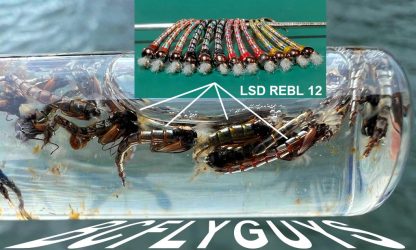 LSD REBL Super Chromie Chironomid Pupa 12 Pack