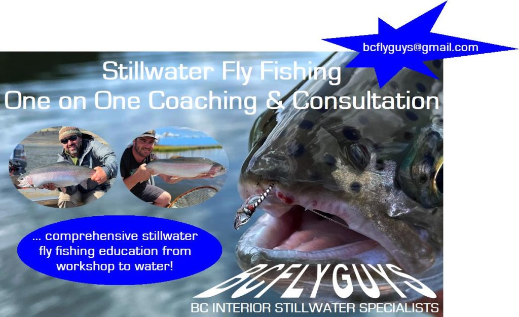 Stillwater Education BCFlyguys One on One Coaching