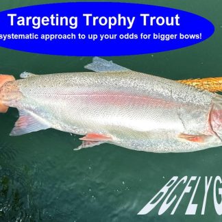 Targeting Trophy Trout - BCFLYGUYS eSeminar PDF