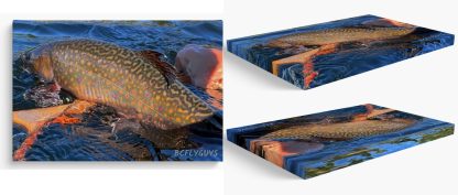 Fishing Photo Art - Bright Brookie