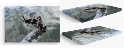 Fishing Photo Art - Chironomid Sample