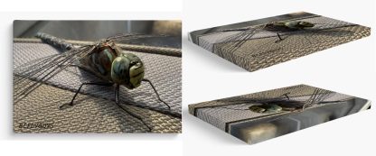 Canvas Fish Art - Image 14